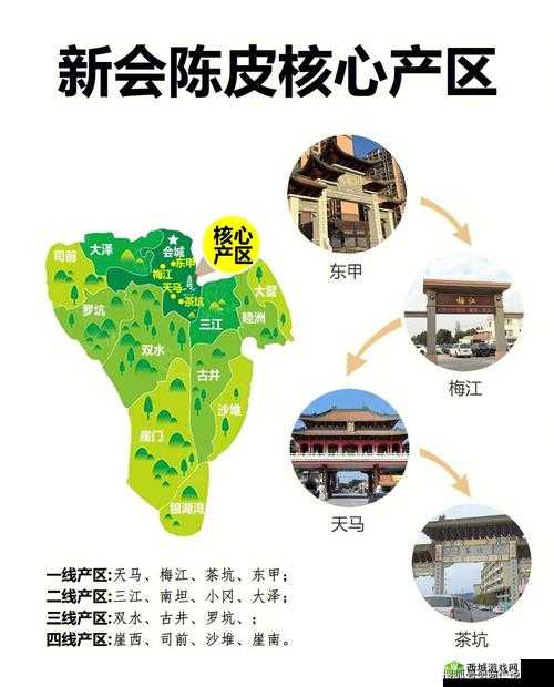 亚洲日本一线产区与二线产区对比分析