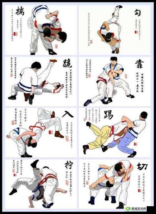 24 种男女插秧法提高效率:实用技巧解析