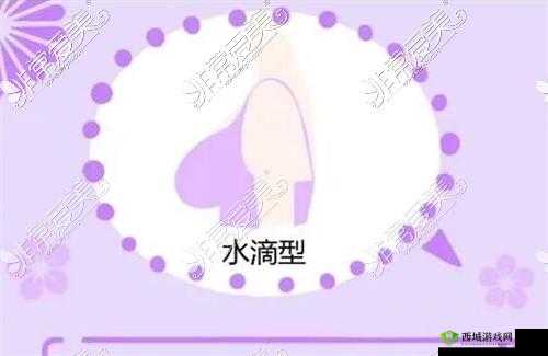 水滴型与馒头型区别解析:形态差异解读