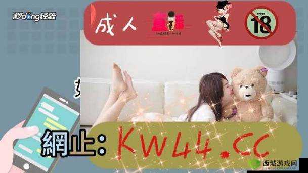 无人区一码二码三码是什么意思:探索未知的密码世界