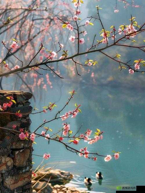 当桃花盛开的时候:春的浪漫邀约