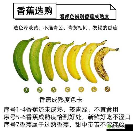 香蕉直的甜还是弯的甜:哪种更美味