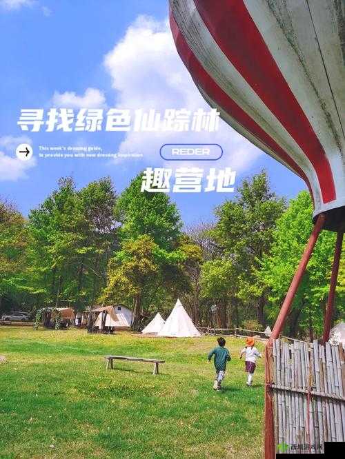仙踪林 COMPANY LIMITED:打造绿色健康茶饮