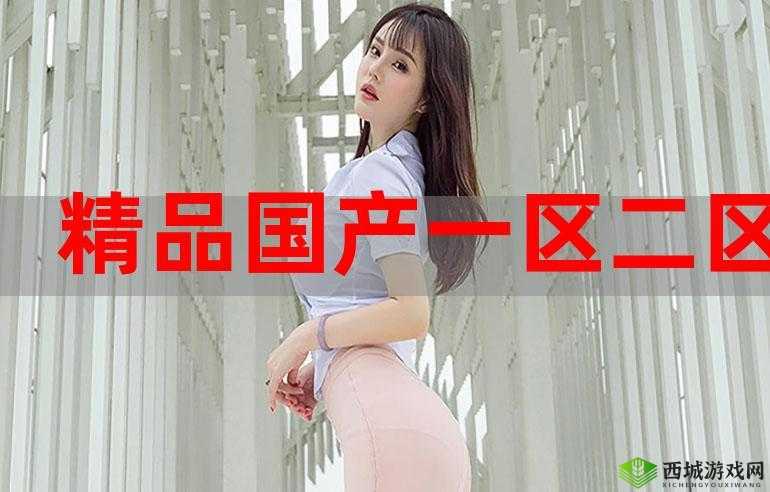 国产精产国品一二三产区区别：特点与差异解析
