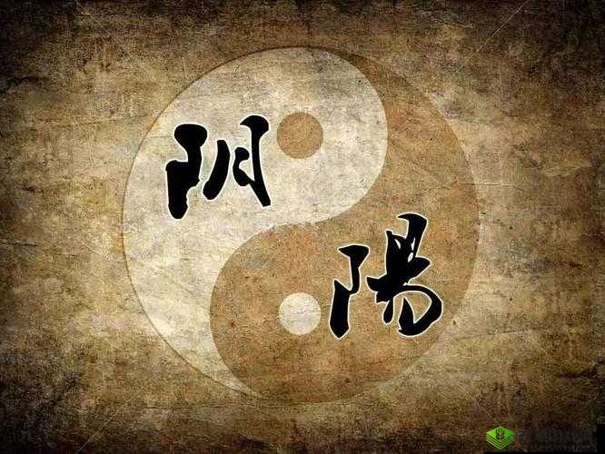 母与子:阴阳调和的生命奥秘