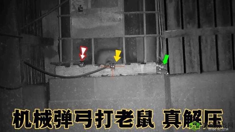 涓鍗′簩鍗 3 鍗 4- 鐮佹柊鍖 的奥秘