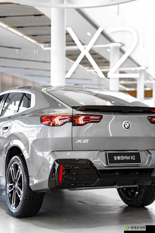 中国 x 站安装包 2024:全新体验来袭
