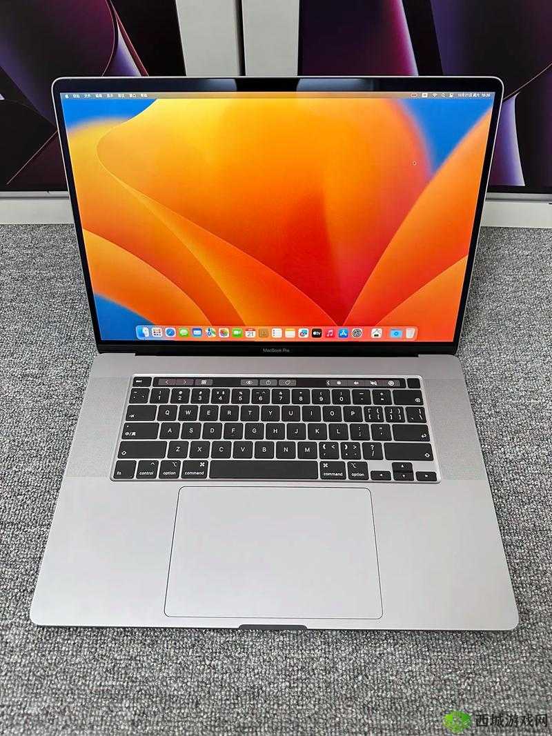 19 岁 MACBOOKPRO 欧美：青春与科技的碰撞