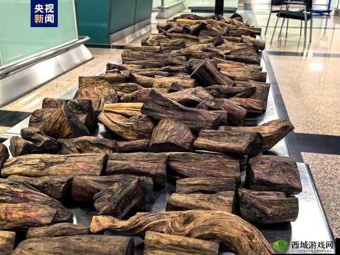 沉香的一线产区:探秘珍贵香木的起源地