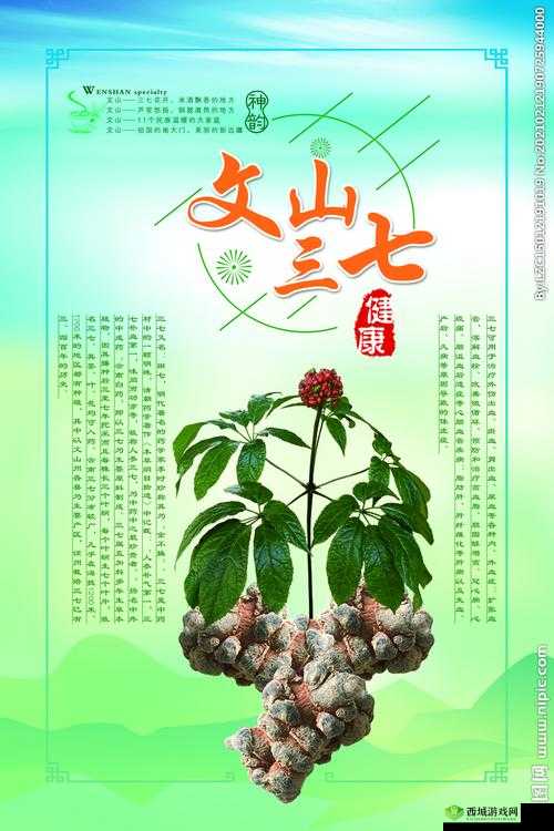 三七大但人文艺术免费:相关介绍