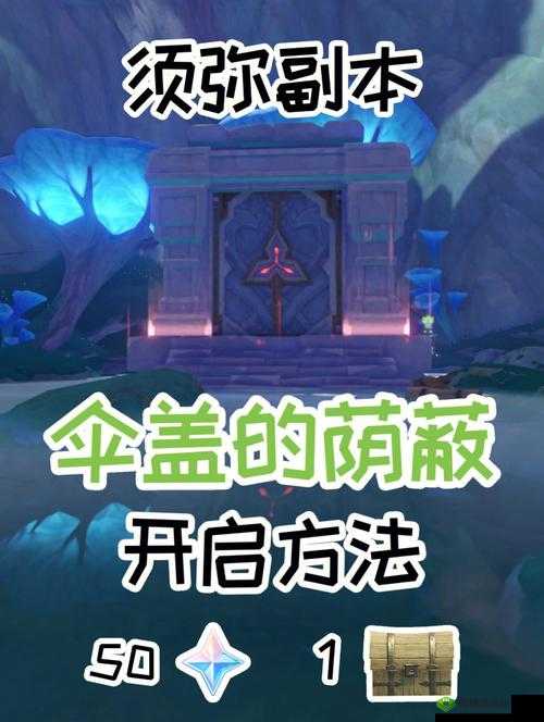 探索原神伞盖的荫蔽方碑顺序攻略，开启神秘之旅