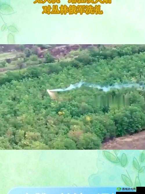 手从小腹一路开到丛林处古代:一段神秘历程