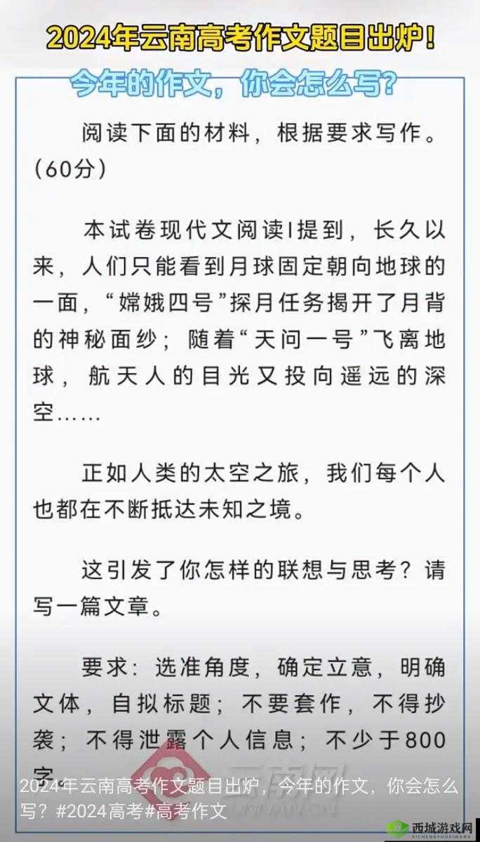 b 站推广入口 2024:探索未知世界