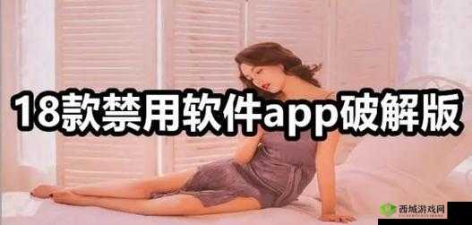 夜里十大禁用软件 app 入口:你不可不知的秘密