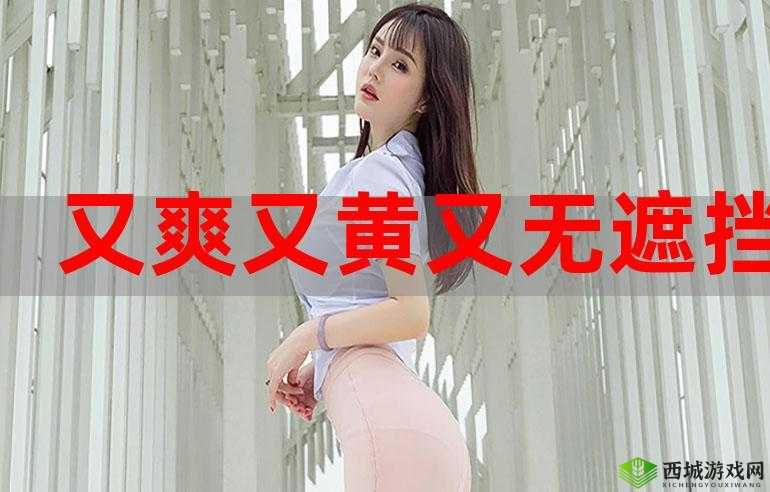 无限看的黄 app 香蕉视频:成人世界的无尽探索