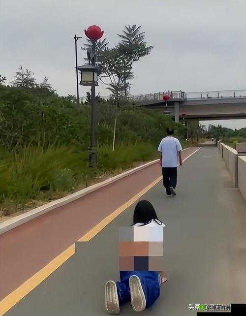老师露出:让学生玩的软件,你敢玩吗?