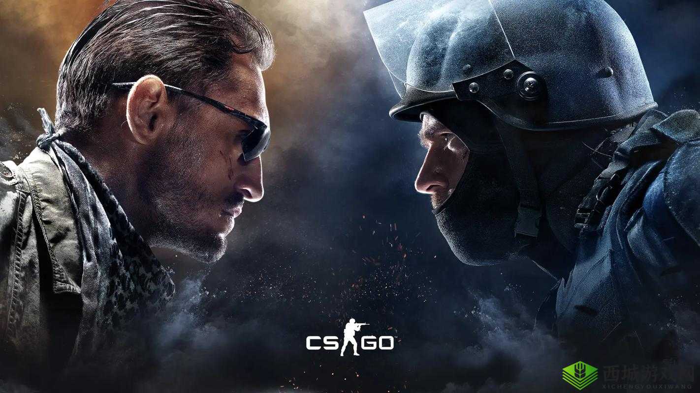 CSGO 高清大片视频网站:精彩不停歇