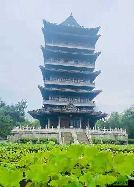 清风阁我爱干在线观看:精彩不容错过