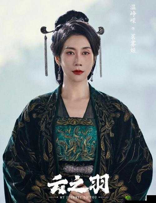 《固守阵地:姬国武将之防守智慧》