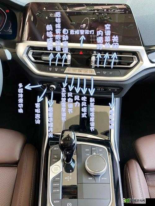 《灵域戮仙》职业系统详解:功能全面解析与介绍