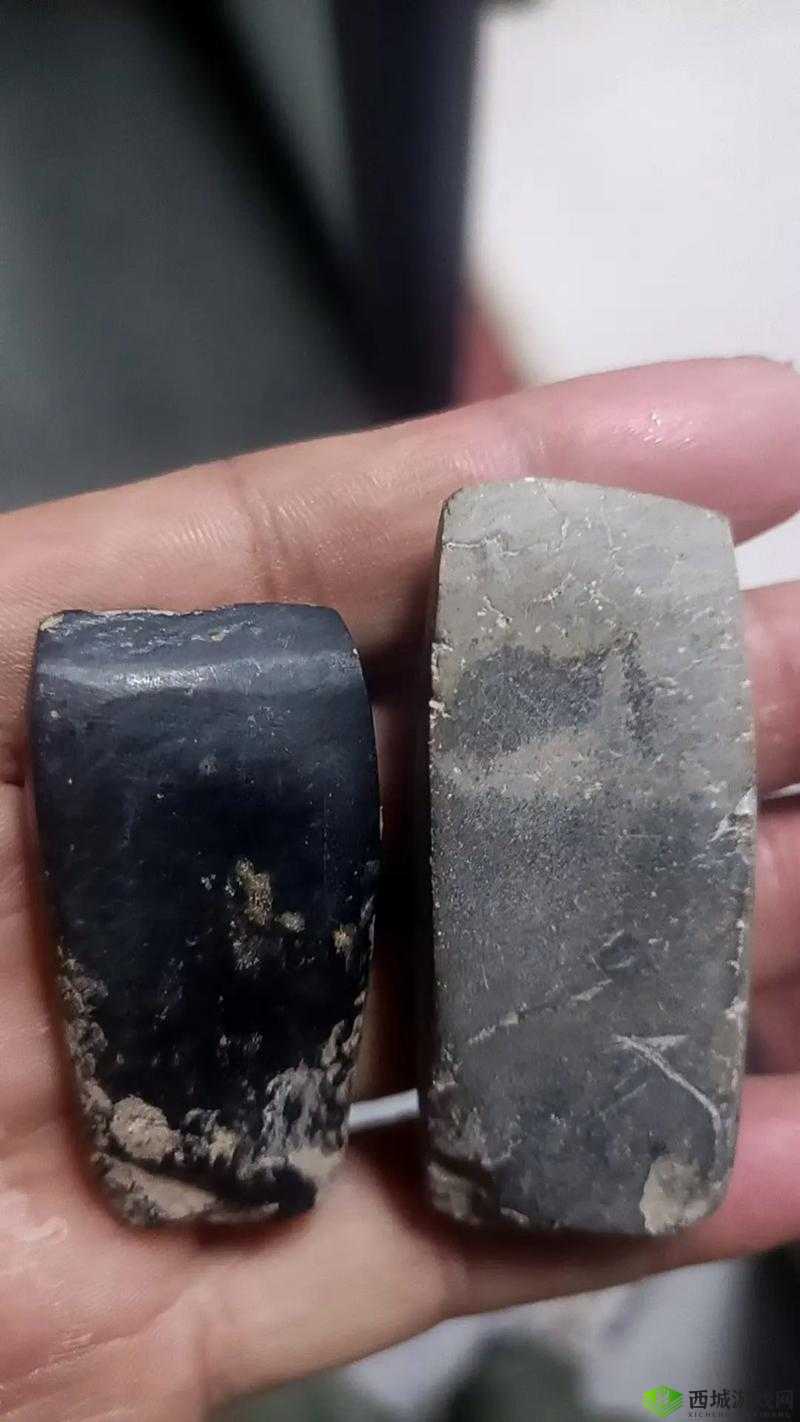 在荒野求生的环境中,一把石斧是极其重要的生存工具,它不仅可以用来砍伐树木、建造庇护所,还可以作为防御武器。下面将详细介绍一种挨饿荒野中制作石斧的方法,帮助你在野外环境中自给自足。