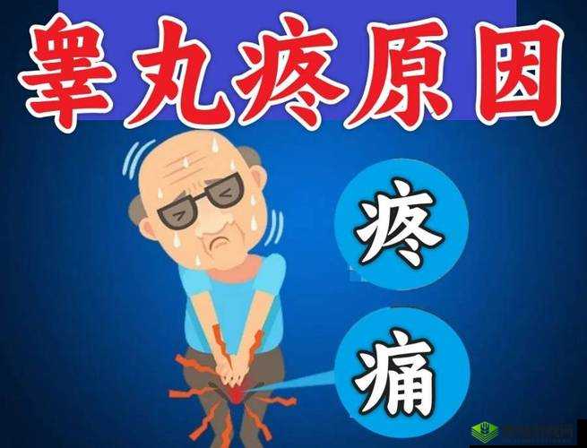 男生蛋蛋疼痛究竟有多难忍:深度探讨男生蛋蛋疼痛的程度及原因