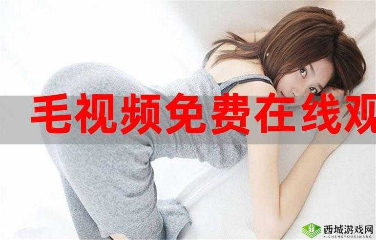 任你躁 x7X7X7X7 在线观看:激情无限,畅享视觉盛宴