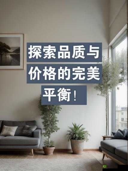 一二三线国精产品 999:品质与价格的完美平衡
