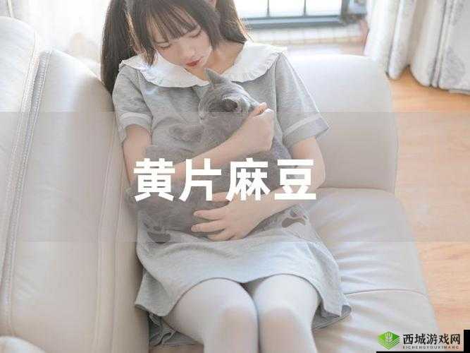麻豆一二三区 AV 传媒:探索成人影视世界的精彩