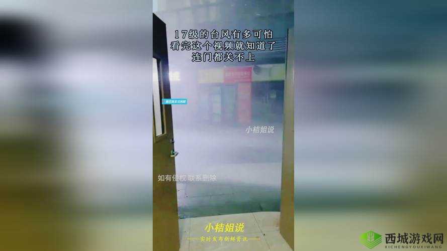 揭秘 99 精产国品一二三产区:揭开神秘面纱,探寻背后真相