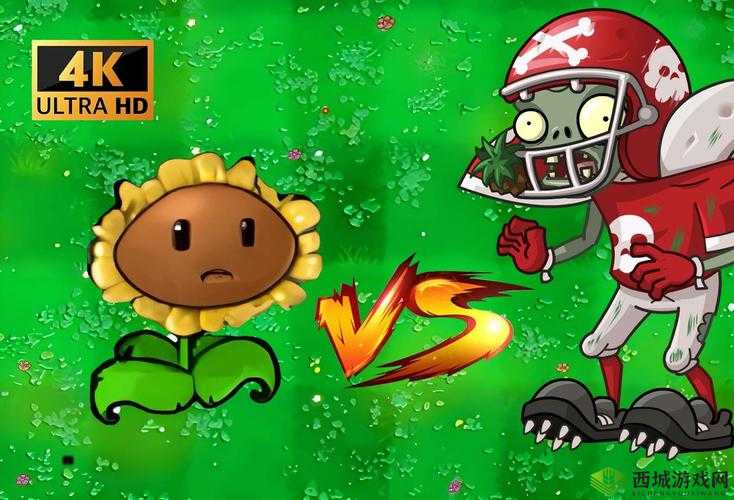 植物大战僵尸杂交版受伤的向日葵:是敌是友?