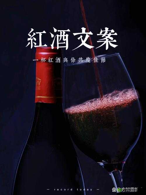 红酒装不下了 1V2 的解决方案:探寻优化存储的多种途径