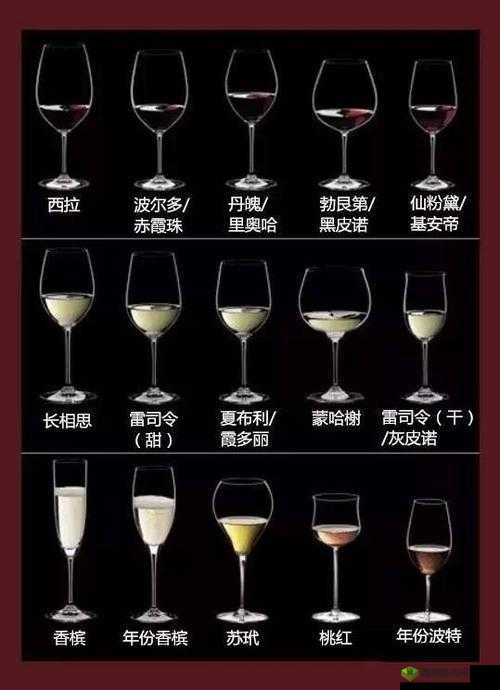 别到红酒了装不下了 1v2 频频:酒杯已满,激情难抑