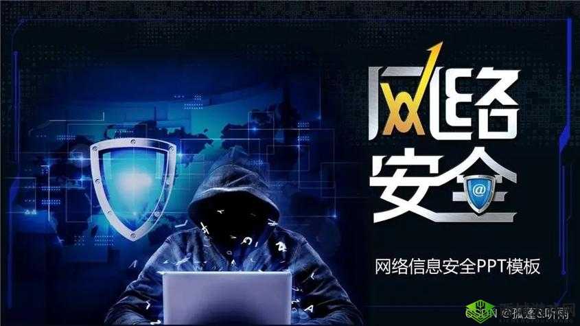 国产精品秘入口麻豆安全吗:保障用户信息安全的重要性