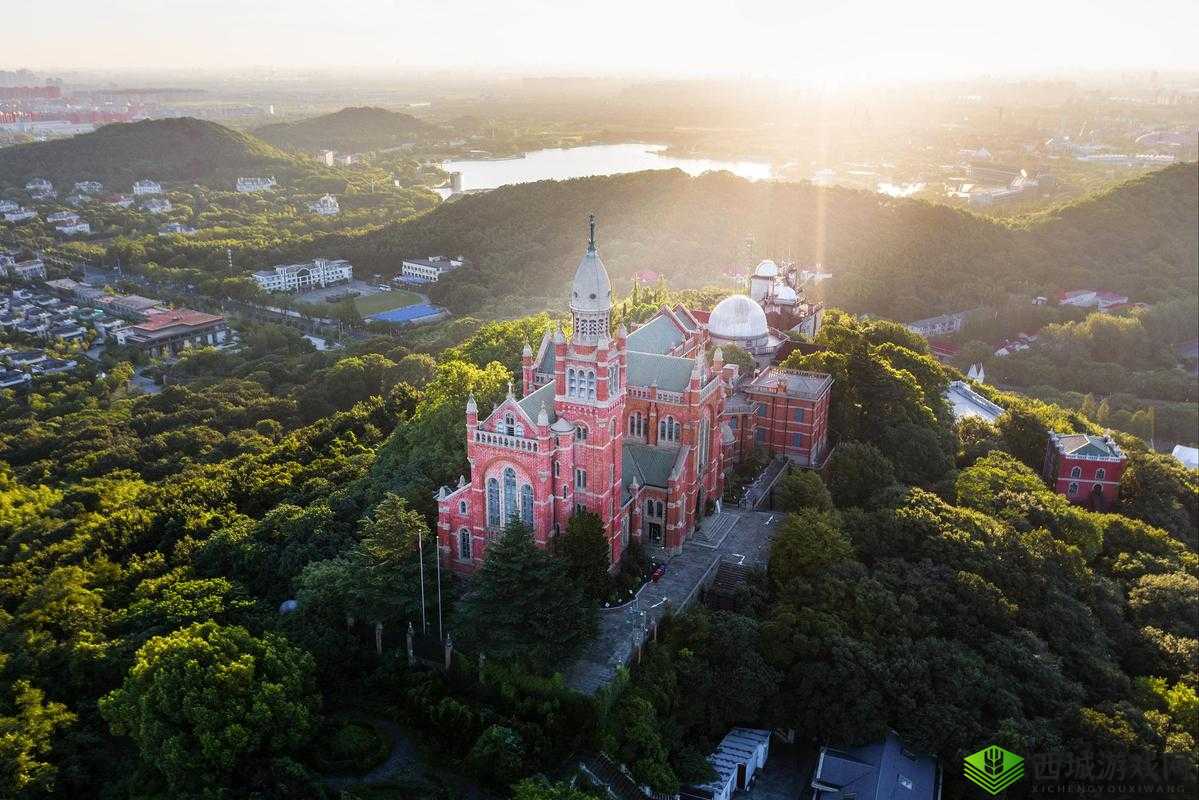 9731 芳草地:一片充满诗意与浪漫的心灵栖息地