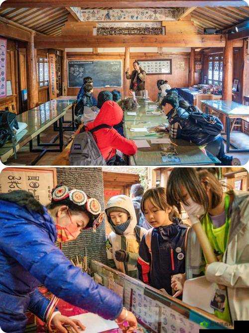 后营露宿 2:探索野外生存的奇妙之旅与独特体验