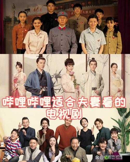 适合夫妻看的电视剧:哔哩哔哩高分推荐