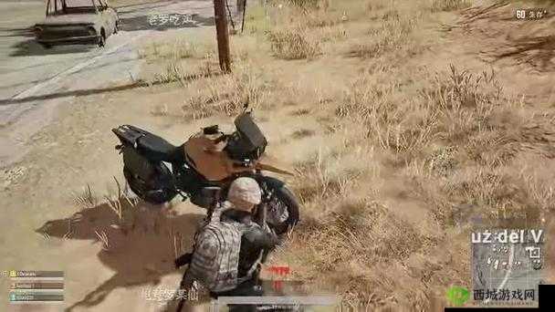 绝地求生刺激战场卡住怎么办?无伤跳车技巧分享在资源管理中的重要性及策略