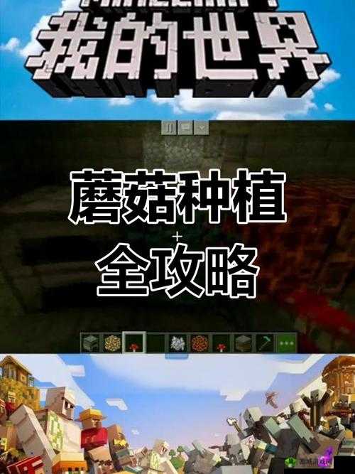 暴躁老外玩 minecraft 蘑菇支持用户在线评论:用户成为游戏主角