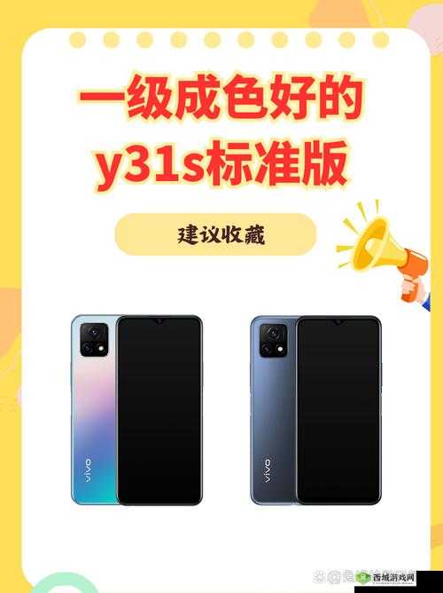 探寻成色好的 y31s 标准版官网:找到最佳选择之路
