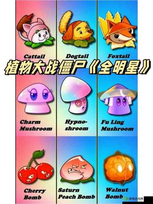 水蜜桃香蕉含羞草:三种植物的奇妙世界与独特魅力