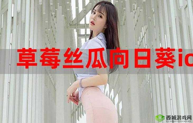 丝瓜茄子草莓榴莲视频在线:精彩内容不容错过