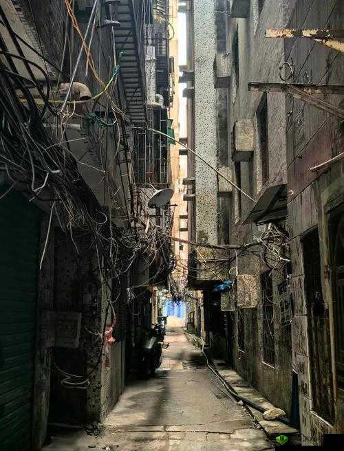 狗哥探店城中村 150:带你领略不一样的城中村落景象