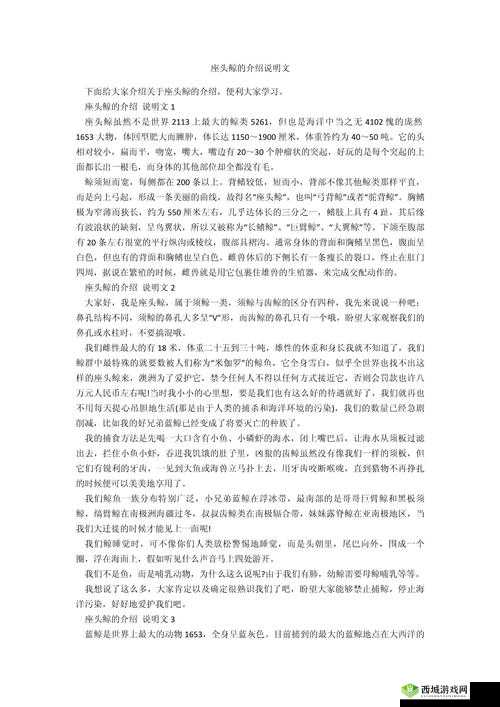 WWW.ⅩⅩXX:关于它的详细介绍与深入解读