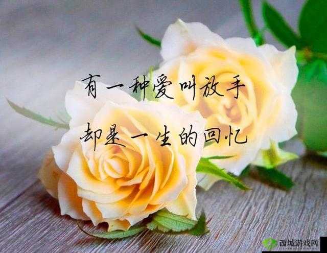 爸放手我是你媳妇最火:那是我们爱的见证与坚守