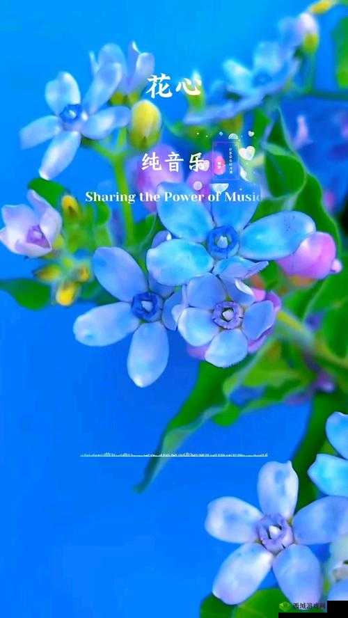 深入花心:探寻花之内心世界的奇妙之旅