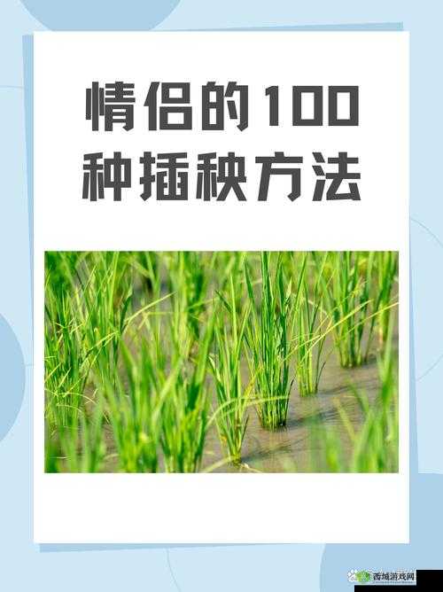 夫妻插秧 38 种方法图片全展示:丰富多样的插秧技巧呈现