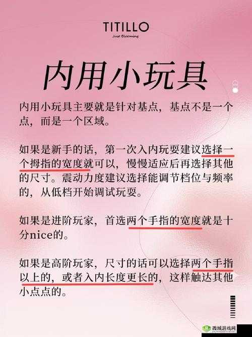 小玩具调到10档的使用体验与效果详解:如何最大化其功能与乐趣