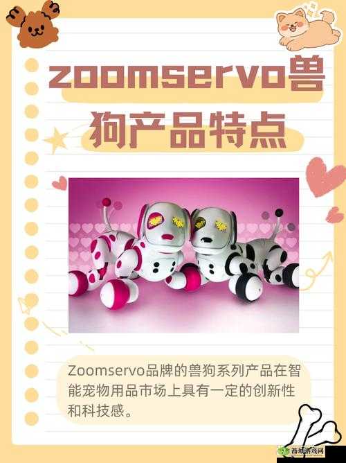 ZOOMDOG2024 是什么?它有怎样的特点和魅力?快来一探究竟