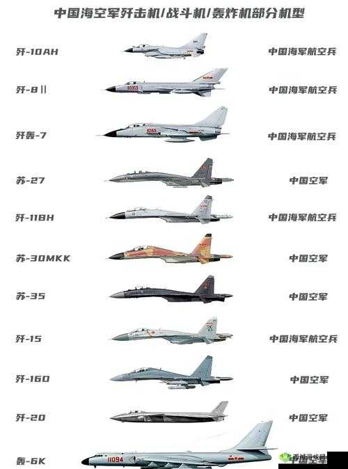 China直男Gay国产飞机:揭秘国产飞机的独特魅力与市场竞争力分析